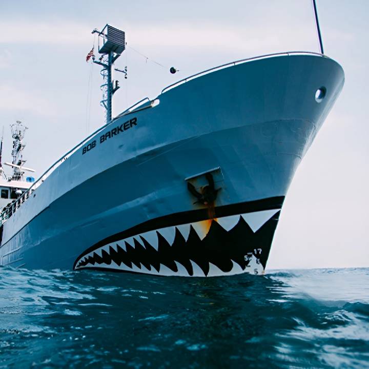 Sea Shepherd - aktiver Meeresschutz weltweit